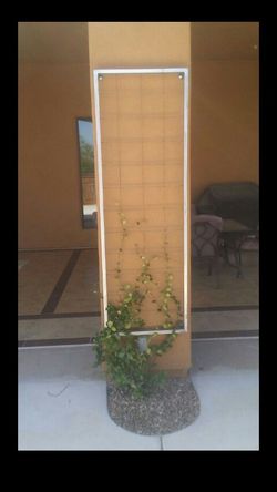 Steel trellis custom sizes