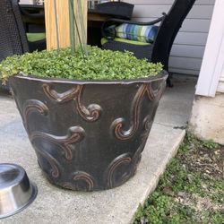 Outdoor Decorative Pots – Stylish & Durable