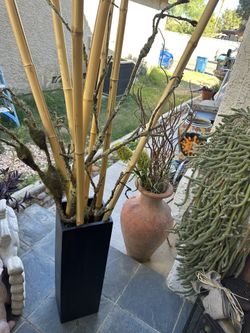 Wood Vase & Bamboo Sticks 