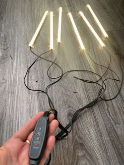 Grow lights with timer