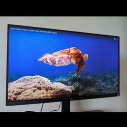 27" LG Premium Monitor