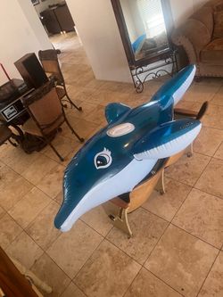 SwimSportz Dolphin Rider