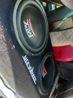 Two 12" Mtx Speakers