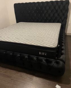 NEW IN BOX Black Platform Bed Frame Queen and King Size