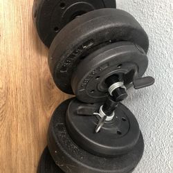Exercise Weights 
