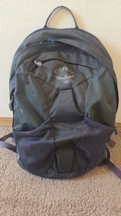 The Osprey Farpoint Fairview Travel Daypack (15L)
