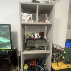 Gray Tall Shelf