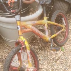 Kids Genesis BMX Bike
