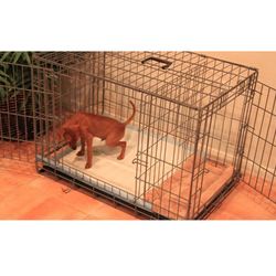 Puppy Apartment (Medium)