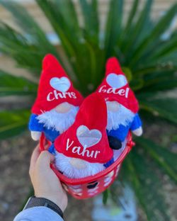 Personalized Gnomes