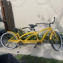 Wellington Fl 