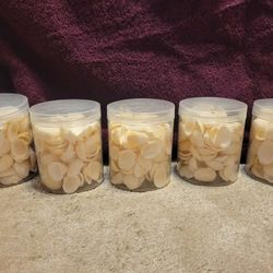 5 jars of Seashells  Brand New In Jars