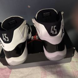 Concord 11 jordans