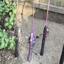 3 Pink Purple Reel & Rods 