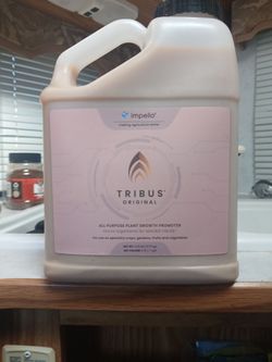 TRIBUS ORIGINAL by impello