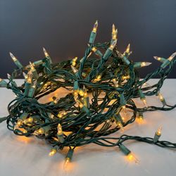 Christmas Mini String Lights Clear Bulbs Green Wire 44
