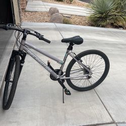 Shimano 7-Speed Recreation Bike