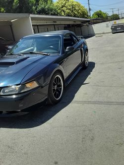 GT Mustang