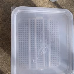 Reptile Incubation Containers