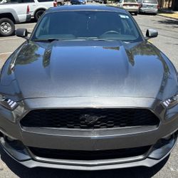 Mustang EcoBoost 