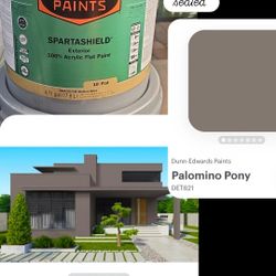 Exterior Flat Paint 