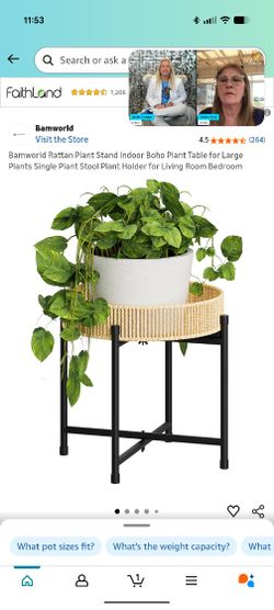 Plant Stand 
