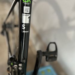 Giant contend sl1