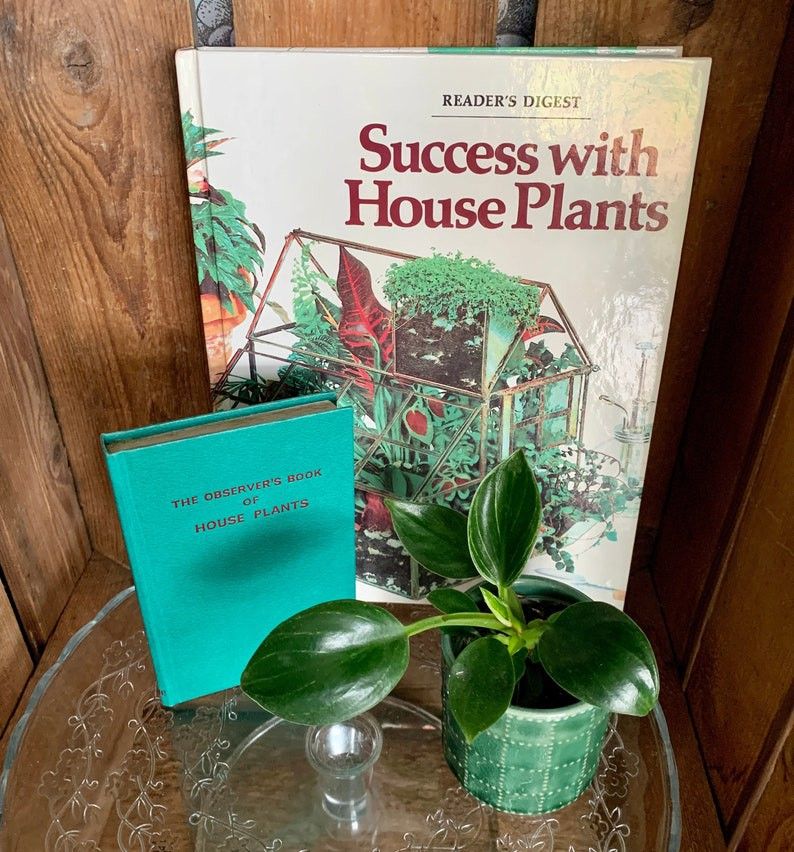Vintage Readers’ Digest book ‘Success with Houseplants " Indoor Plant/ House Plant/ Flower