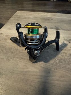 (Murrieta) Brand new Daiwa Exceller 2500 fishing reel.