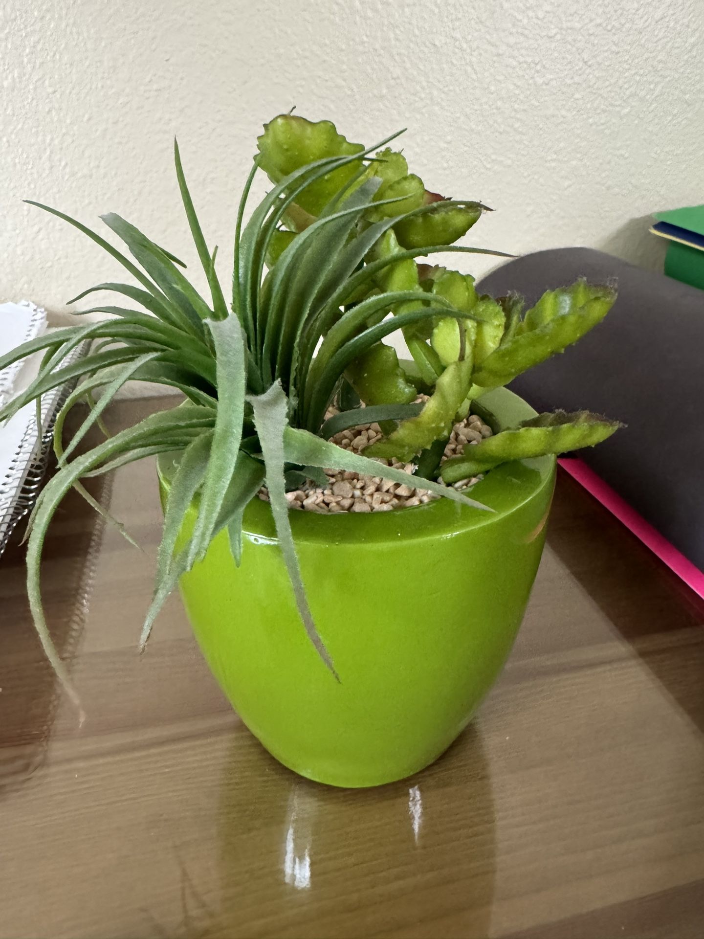 Decorative Plant