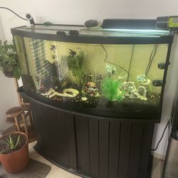 Aquarium 