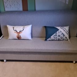 Convertible Sleeper Sofa Bed - $500