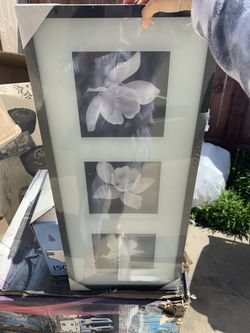 New frame
