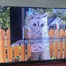 SAMSUNG Tv 75 Inch Model / MODELE NO. : QN75Q60RAF Screen Damage For Parts