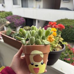 4 Inch Bear Paw Succulent In Hand-Painted Pot