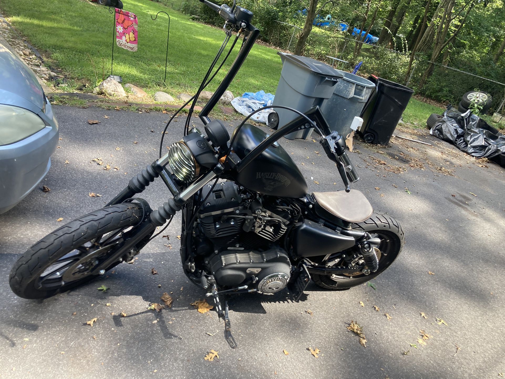 2016 Harley Davidson Iron