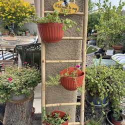  🌵 3-Tier Bamboo Garden Ladder w/ Live Succulents + Decor - $55 OBO - Sunrise Manor