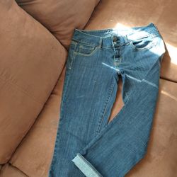 Artist Capri $15
