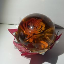 Multiple Different Styles Colors Ross/flower Globes 