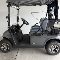EZ GO golf Cart  regulation for Ocala Preserve's golf course