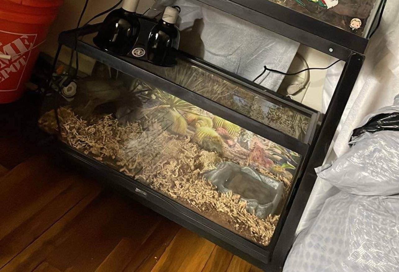 20 Gallon Tank