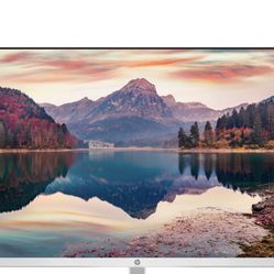 Dual HP 24” White Monitors with Mounts