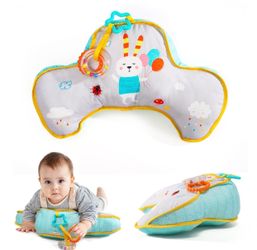 Tummy Time Newborn Pillow Note: retired design