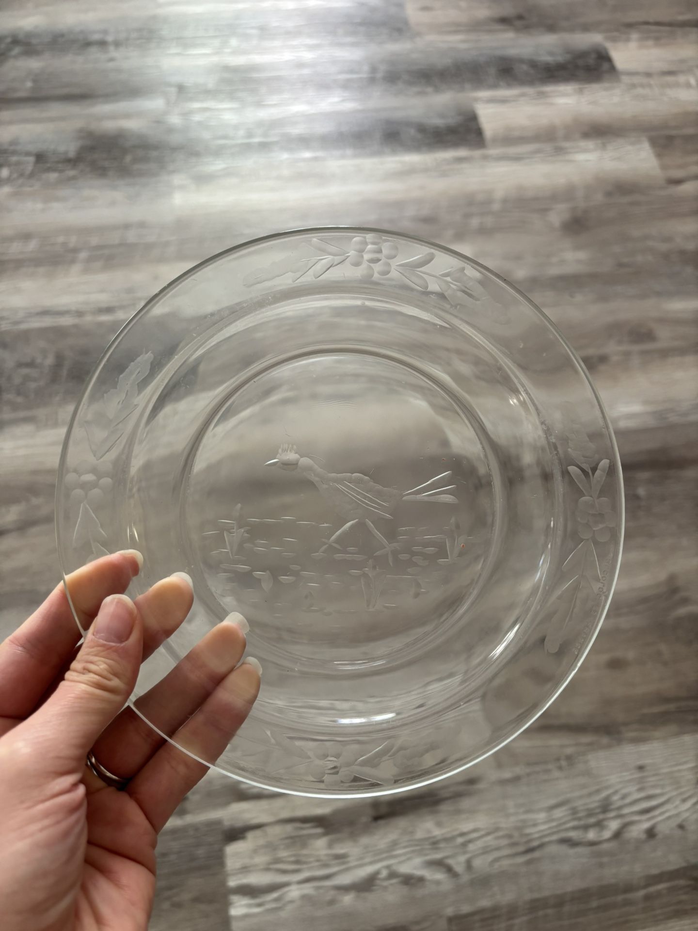 Vintage Glass Plate With Image 