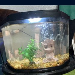 Now Front Fish Tank