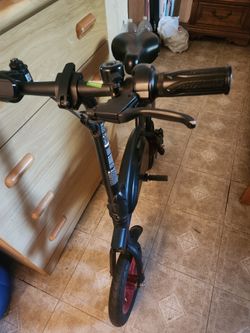 Scoter