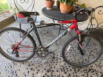 Vintage Giant Boulder Mountain Bike