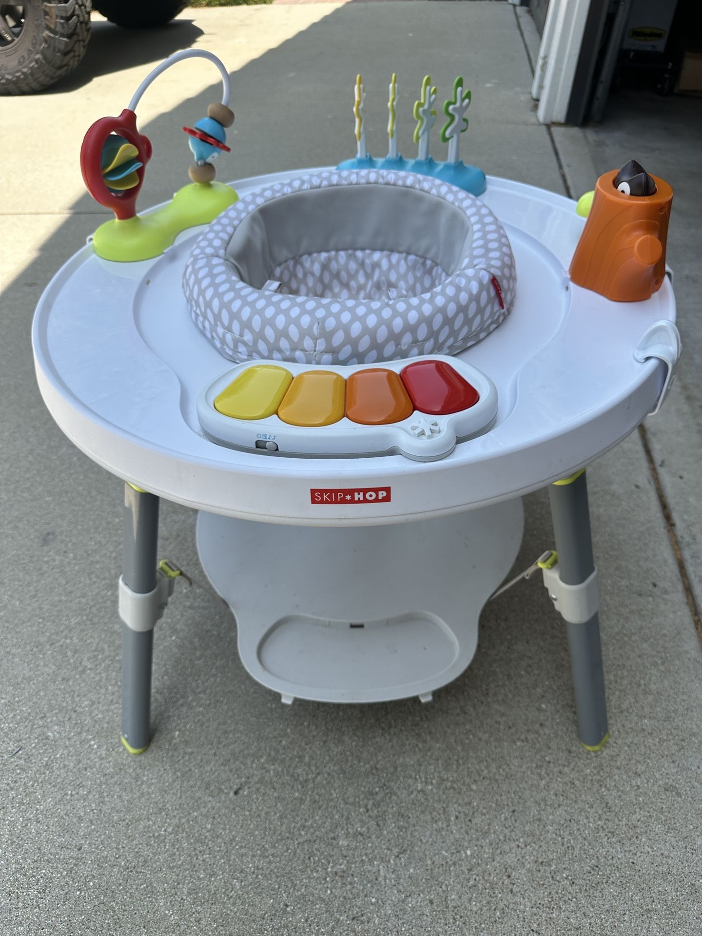 Skip Hop Baby Activity Center