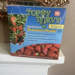 Strawberry Planter