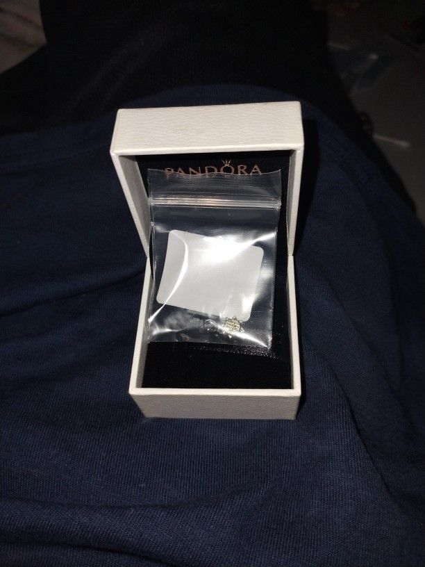 2 Pandora Charms